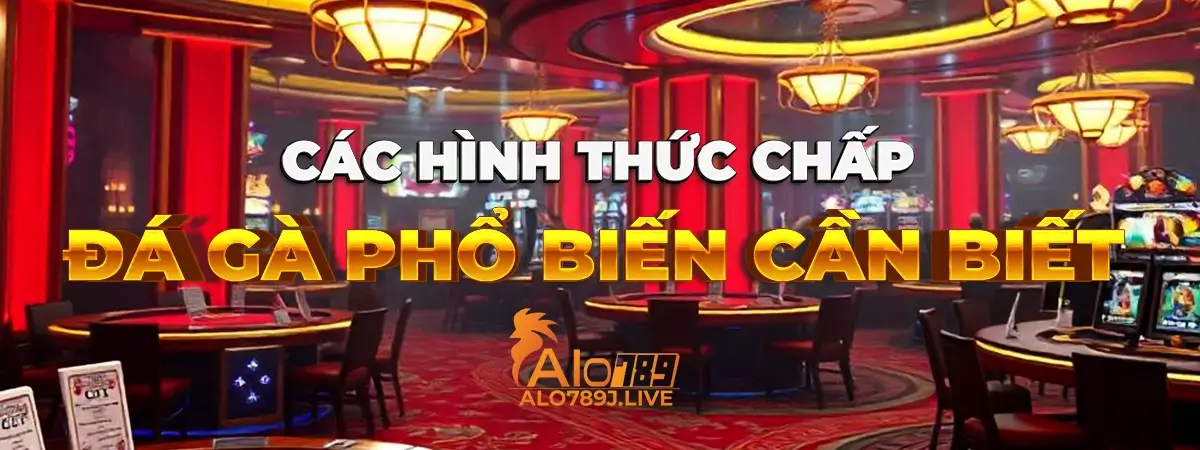 Các luật chấp đá gà phù hợp giúp trận đấu trở nên hấp dẫn và cân bằng