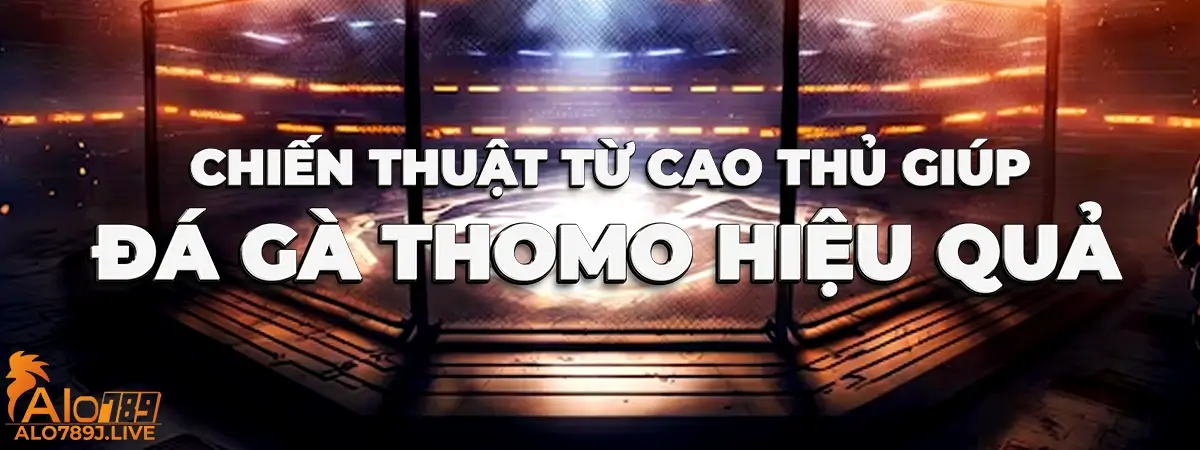 Chiến thuật giúp bạn đặt cược đá gà Thomo luôn thắng