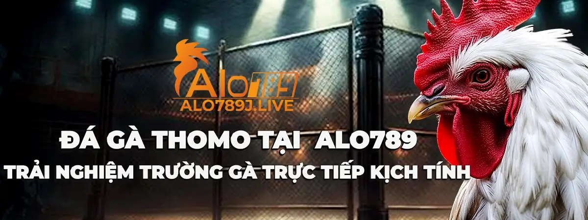 Trải nghiệm đá gà THOMO tại ALO789