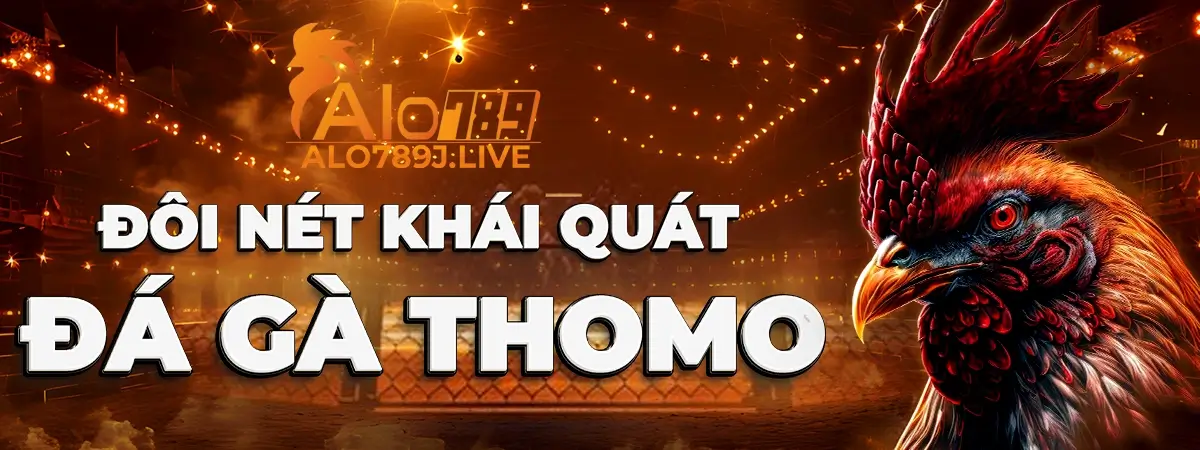 Tổng quan về đá gà THOMO