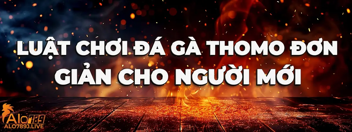 Luật đá gà Thomo dành cho tân thủ